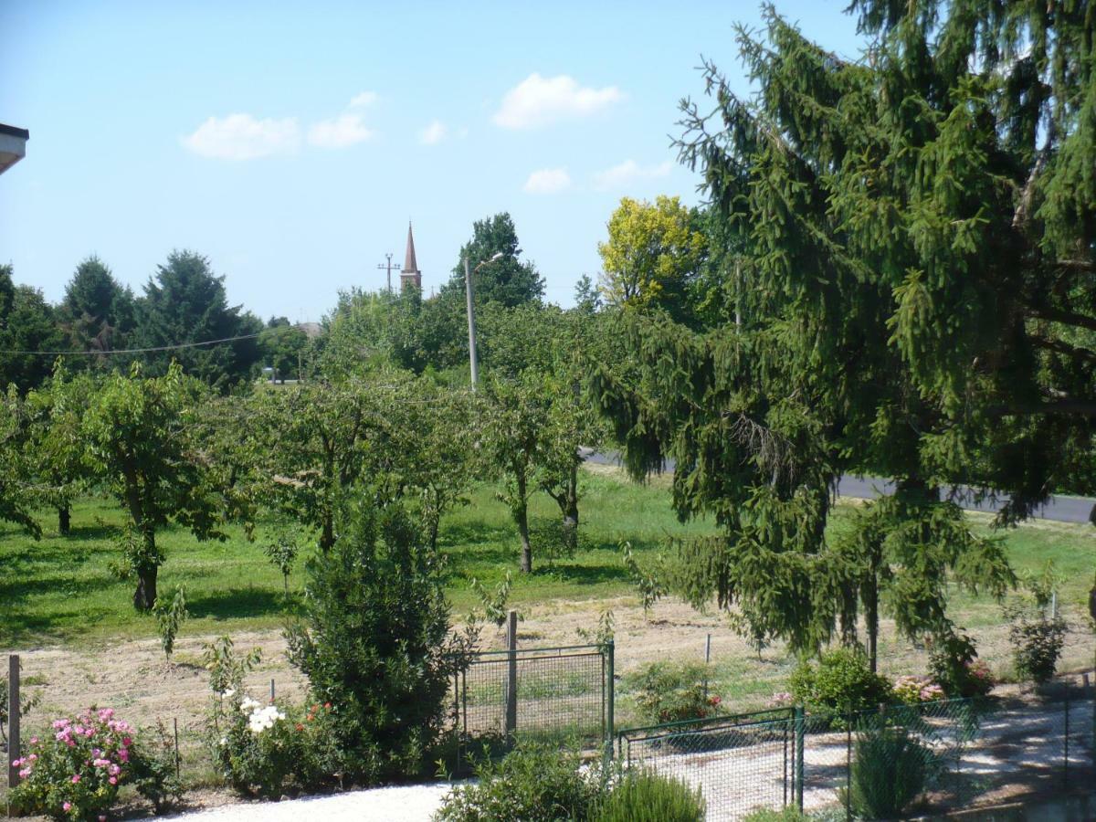 L'Albero Della Gioia Villanova sull'Arda Bagian luar foto