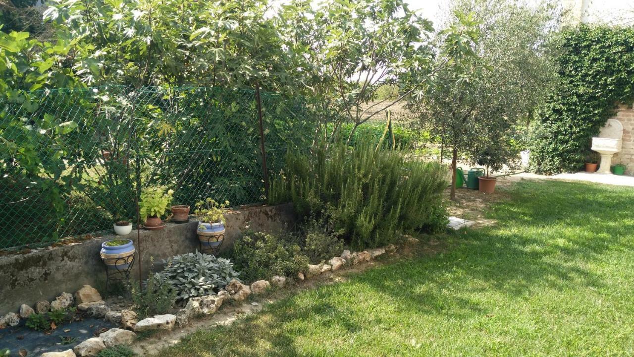L'Albero Della Gioia Villanova sull'Arda Bagian luar foto